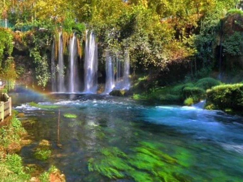 Nature Tours