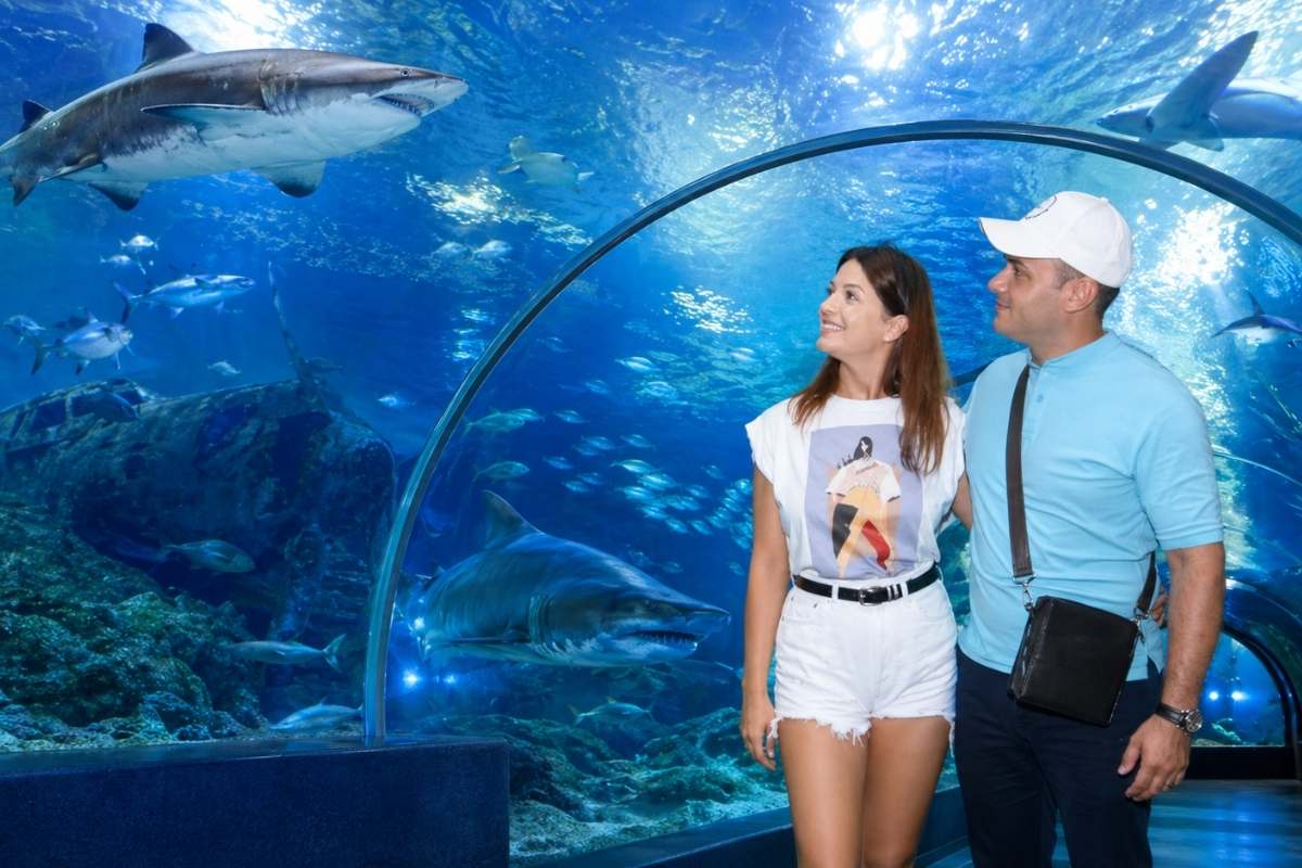 Antalya Aquarium Tour from